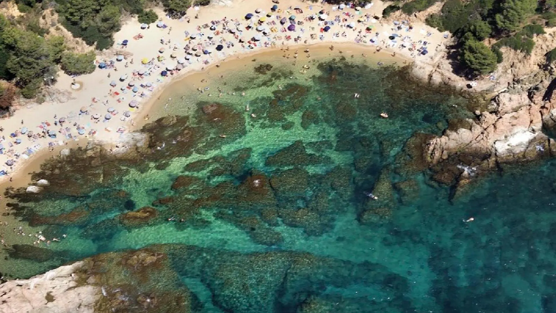 Lloguer30 Llevanti, Near The Sea بلاتجا ذارو شقة