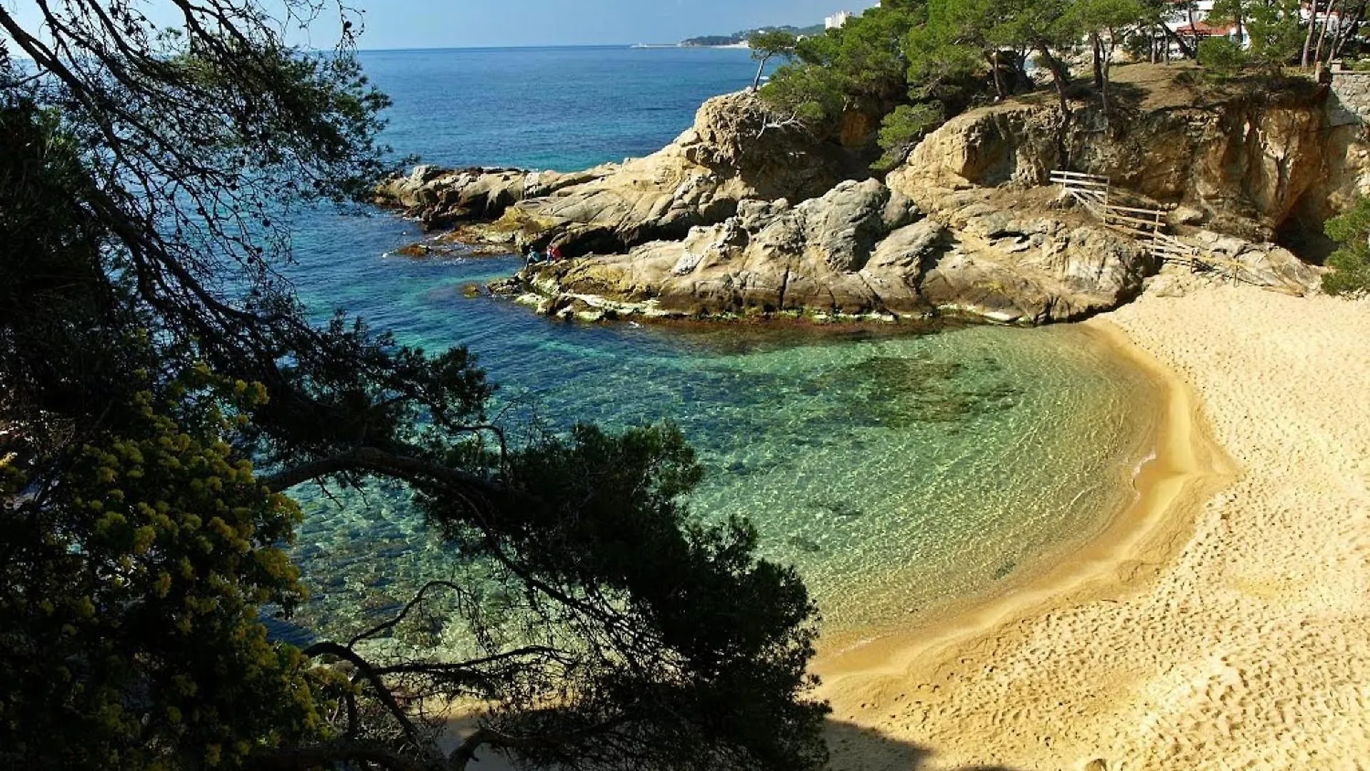 Lloguer30 Llevanti, Near The Sea بلاتجا ذارو إسبانيا